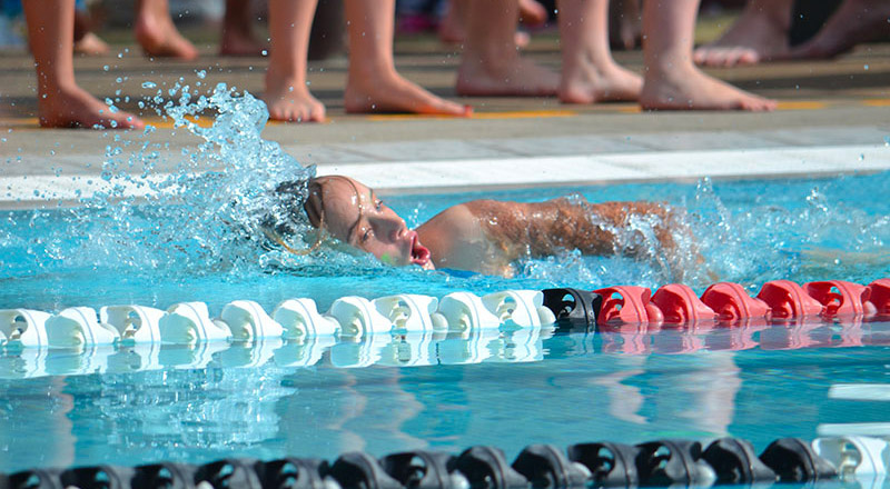 Bede Polding Catholic College Windsor Swimming Carnival