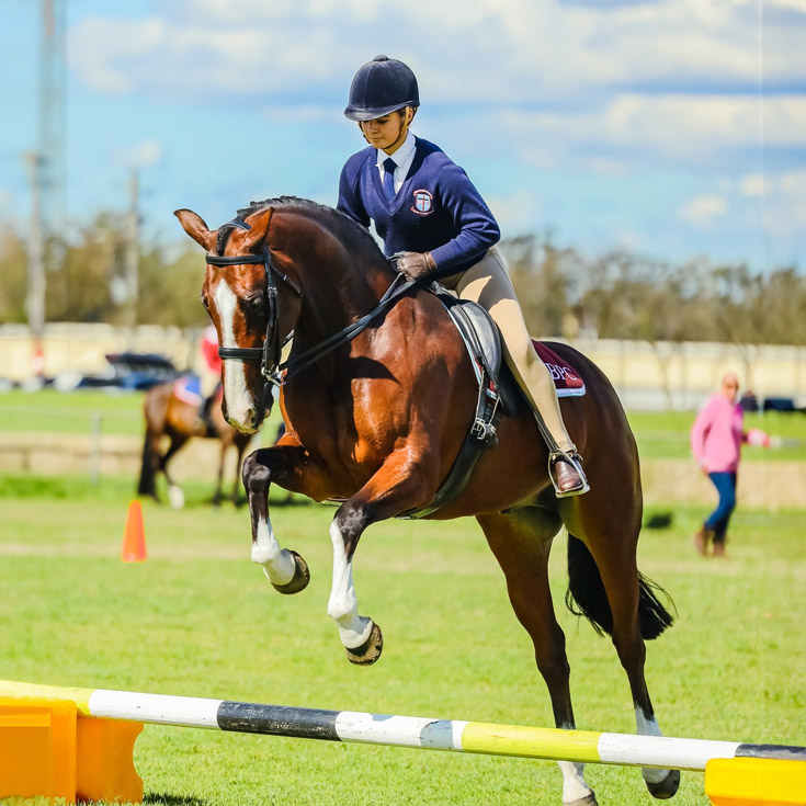 Bede Polding Catholic College Windsor Equestrian Rider